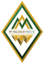 MNS_Logo17